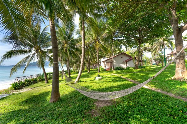 How Can You Experience the UK's Rich Culinary Scene?